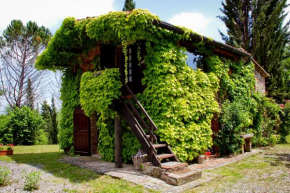 La Stellina Casa Vacanze - Relax immersi nella natura Pietraviva